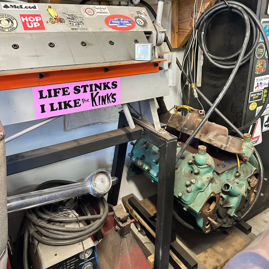 Life Stinks I Like The Kinks